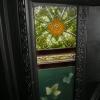 Edwardian Tiled Cast Iron Fireplace Insert